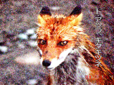 
�����E�O��