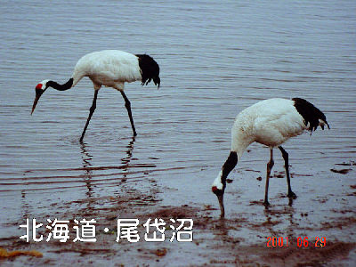 
�����E�O��