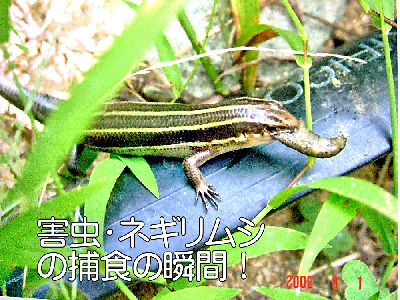 
�����E�O��