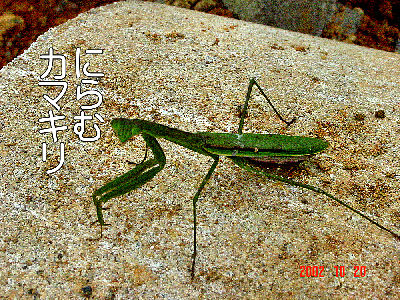 
�����E�O��