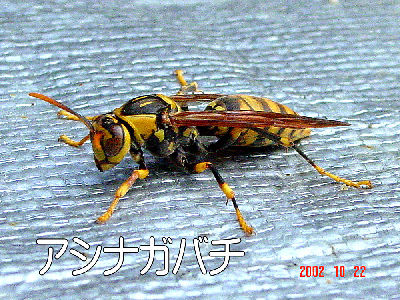 
�����E�O��