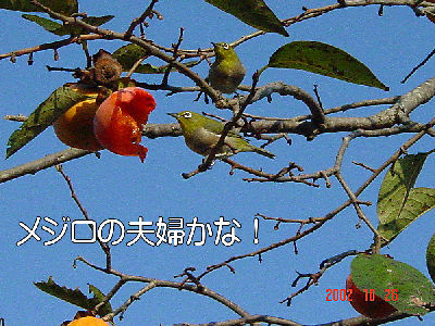 
�����E�O��