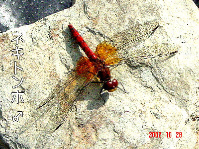 
�����E�O��