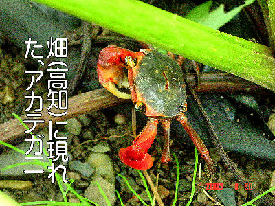 
�����E�O��