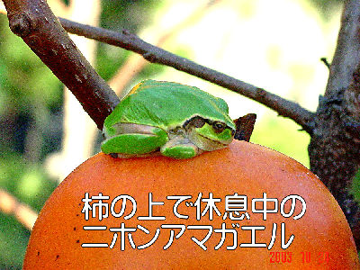 
�����E�O��