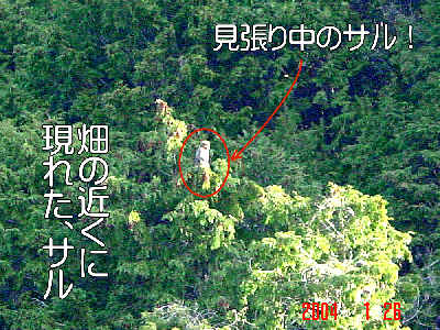 
�����E�O��