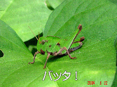 
�����E�O��