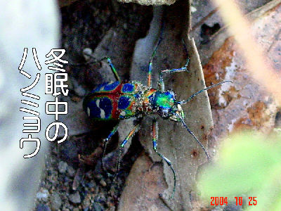 
�����E�O��