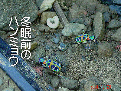 
�����E�O��