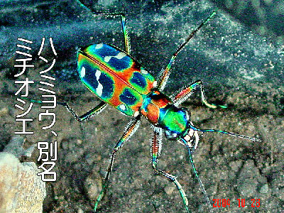 
�����E�O��