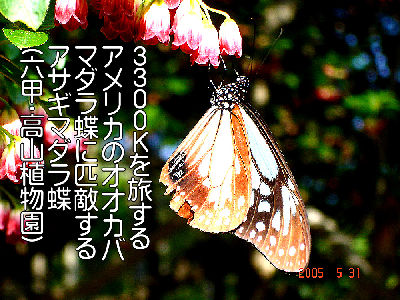 
�����E�O��