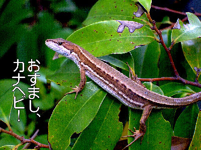 
�����E�O��