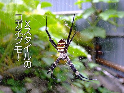 
�����E�O��