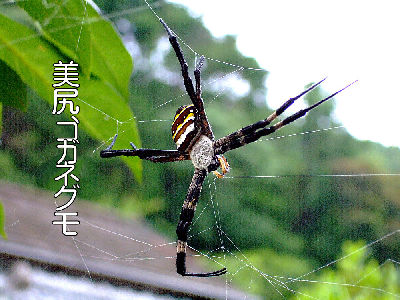 
�����E�O��