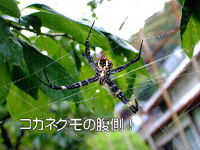 
�����E�O��