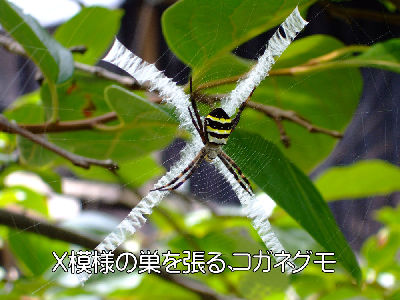 
�����E�O��