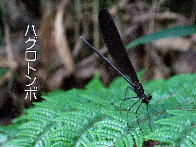 
�����E�O��