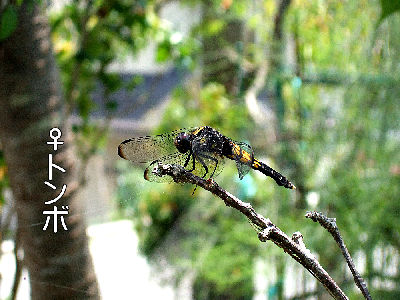 
�����E�O��