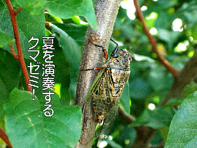 
�����E�O��