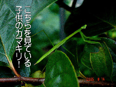 
�����E�O��