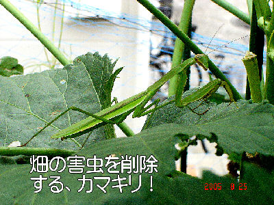 
�����E�O��