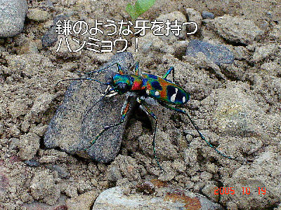 
�����E�O��