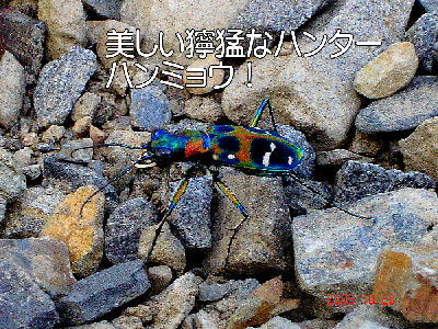 
�����E�O��