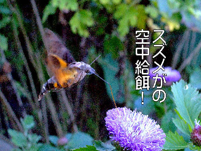 
�����E�O��