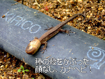 
�����E�O��