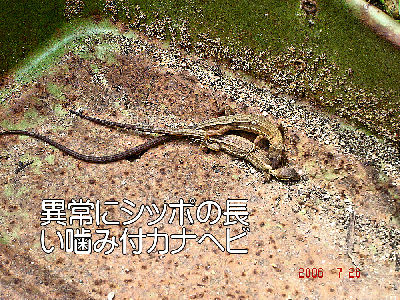 
�����E�O��