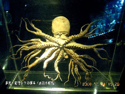 
�����E�O��