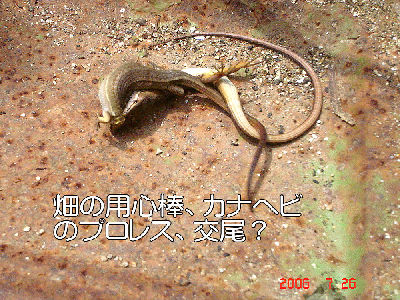 
�����E�O��