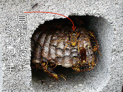 
�����E�O��