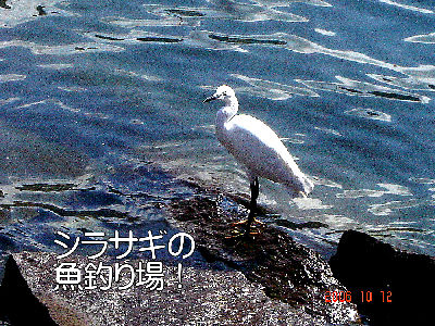 
�����E�O��