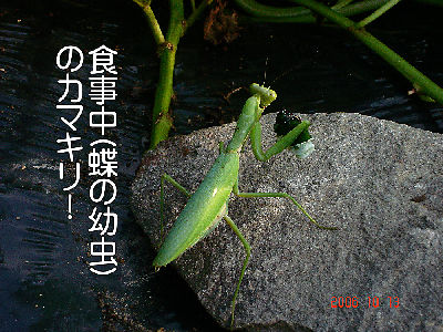 
�ފy�E�t�B�b�V���O�E��