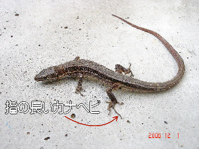 
�����E�O��