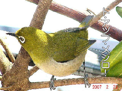 
�����E�O��