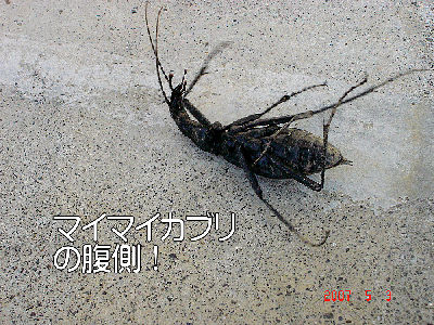 
�����E�O��