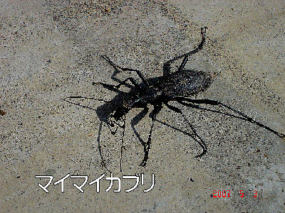 
�����E�O��