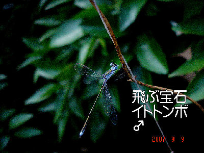 
�����E�O��