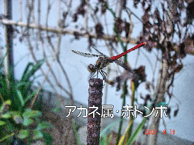 
�����E�O��