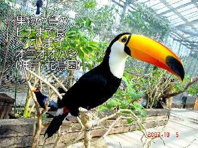 
�����E�O��