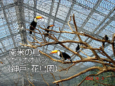 
�����E�O��