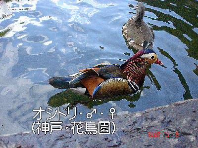 
�����E�O��