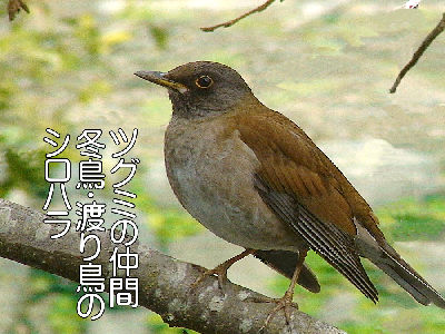 
�����E�O��