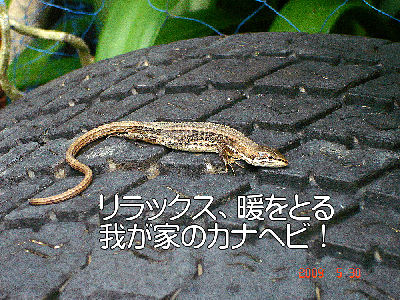 
�����E�O��