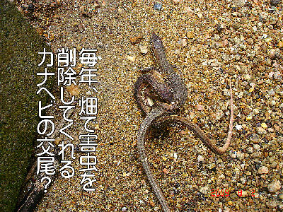 
�����E�O��